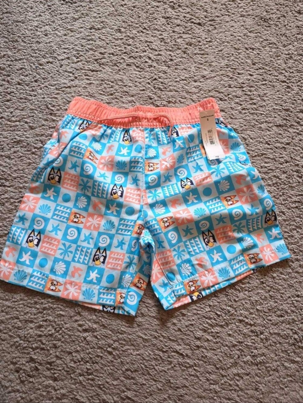 Bluey Swim Shorts